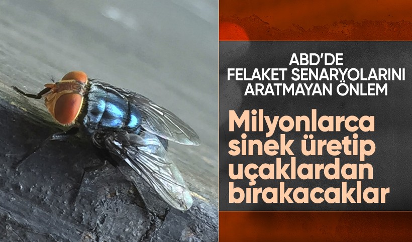 ABD'de biyolojik tehdide felaket senaryosu gibi önlem: Milyonlarca sinek üretip uçaklardan bırakacaklar