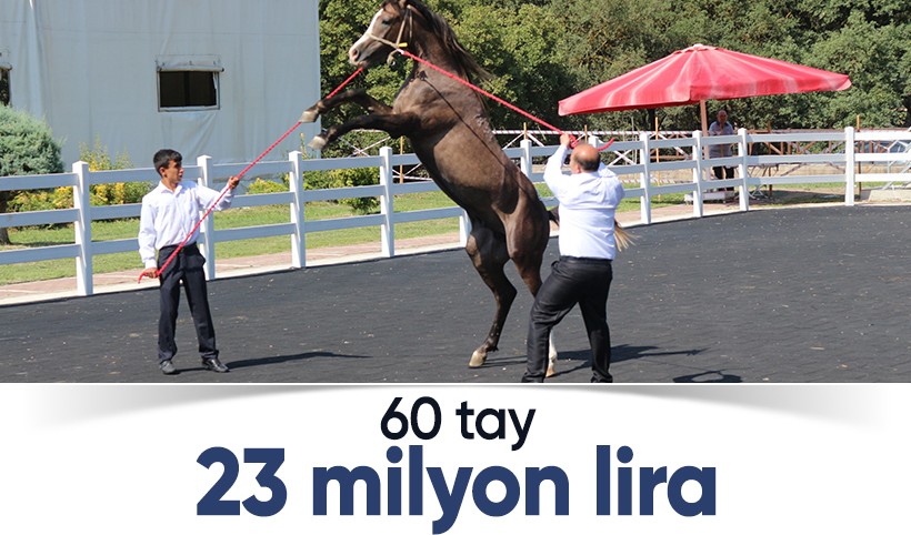 TİGEM 60 tay satışından 23 milyon lira gelir elde etti