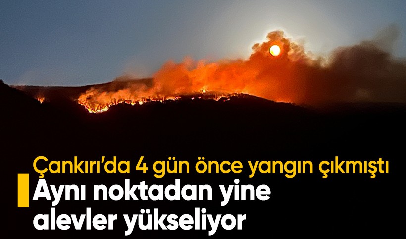 Çankırı'da 4 gün önce orman yangını çıkan yerde bir yangın daha çıktı