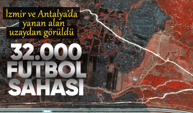 Ege ve Akdeniz'de 32 bin futbol sahası büyüklüğünde alan yandı