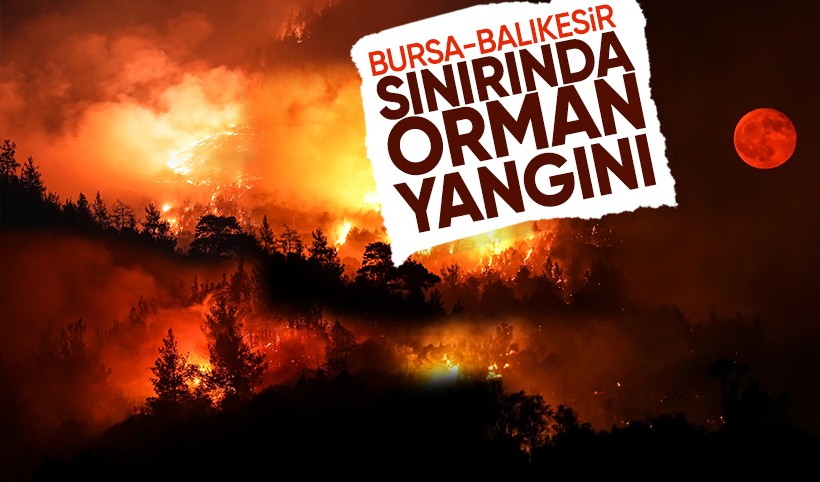 Bursa-Balıkesir sınırında orman yangını: İki mahalle boşaltıldı