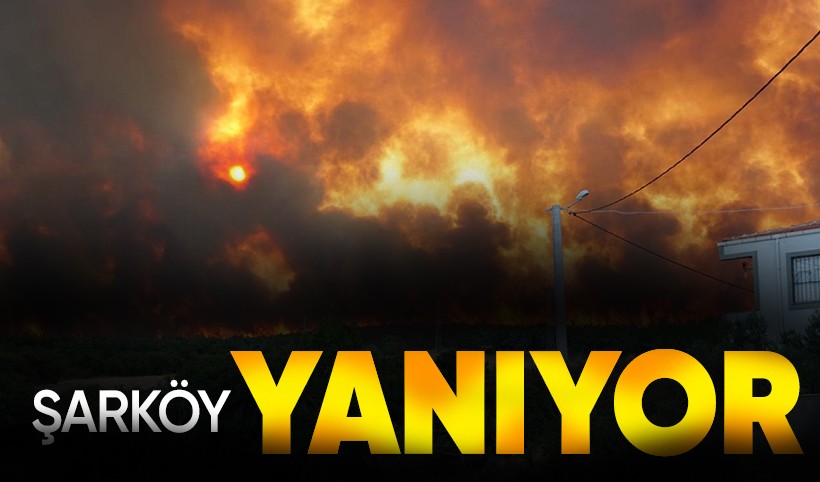 Tekirdağ Şarköy'de orman yangını