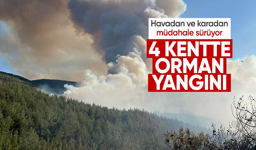 4 şehirde orman yangını