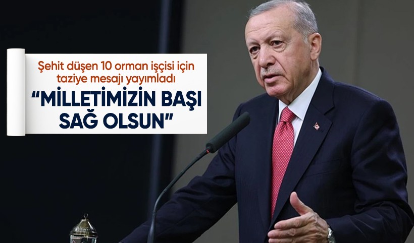 Cumhurbaşkanı Erdoğan'dan Eskişehir'de şehit olan ormancılar için taziye mesajı