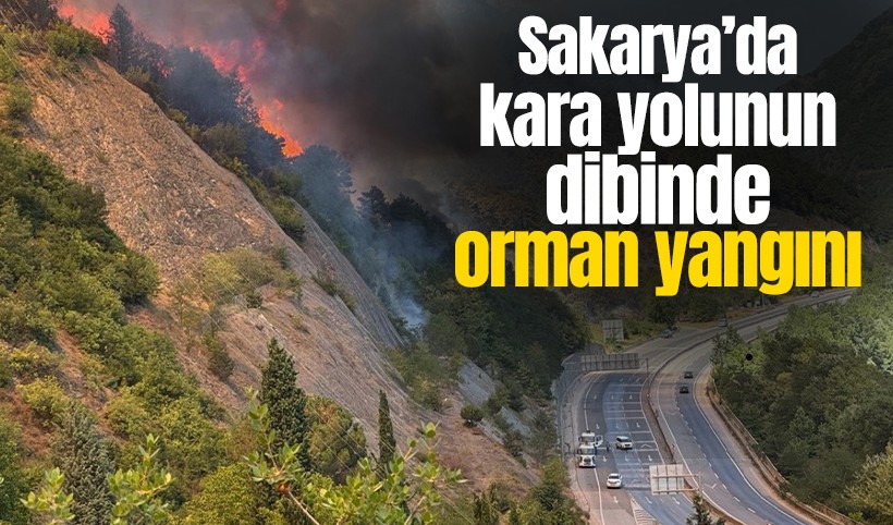 Sakarya Geyve’de bir orman yangını daha! Alevler karayoluna çok yaklaştı