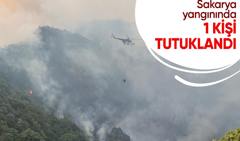 Sakarya'da ormanlık alanda çıkan yangına ilişkin 1 şüpheli tutuklandı