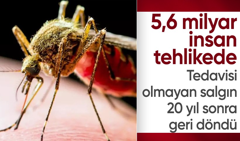 5,6 milyar insan tehlikede! Tedavisi olmayan salgın 20 yıl sonra geri döndü