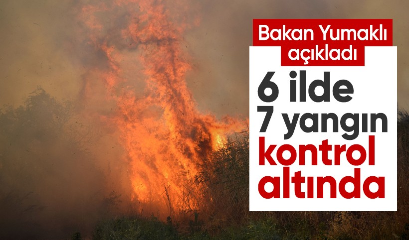 Bakan Yumaklı: 6 ilimizdeki 7 yangın kontrol altına alındı