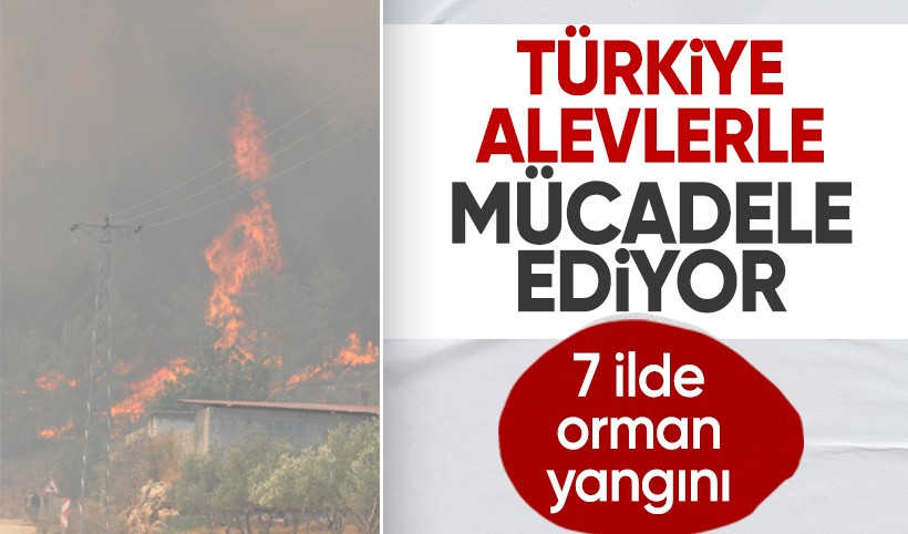Türkiye alevlerle mücadele ediyor! 7 ilde orman yangını