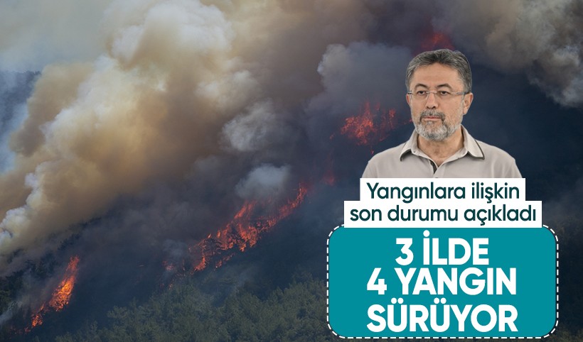 Bakan Yumaklı: 3 ilimizde 4 yangın sürüyor