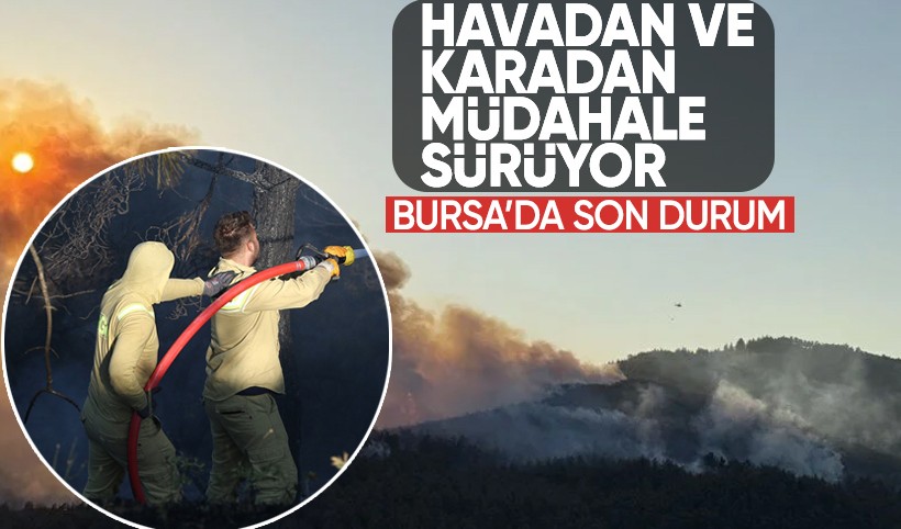 Bakan Yumaklı yangınlarda son durumu açıkladı! 4 ilde 5 yangın kontrol altında