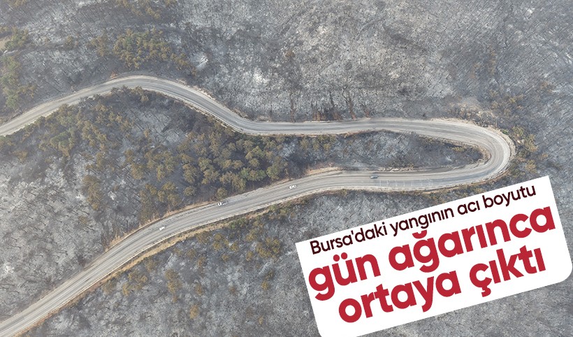 Bursa'daki yangının acı boyutu gün ağarınca ortaya çıktı
