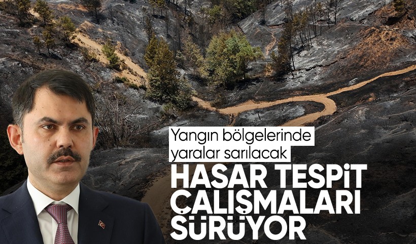 Kontrol altına alınan orman yangınlarında hasar tespit çalışmaları sürüyor