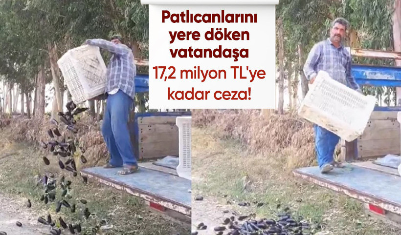 Mersin'de patlıcanları yere döken üreticiye 17,2 milyon liraya kadar ceza
