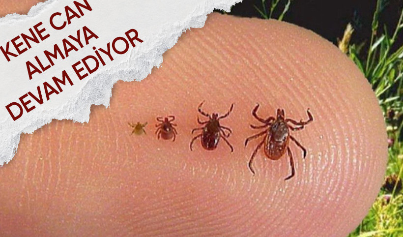Sivas’ta bir kişi daha keneden öldü