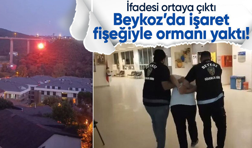 Beykoz'da yangın çıkaran şüpheli tutuklandı