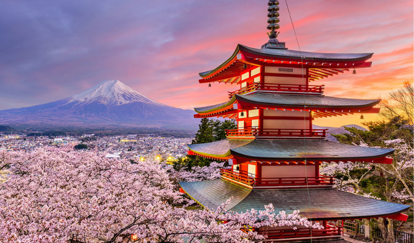 Japonya gezisine çıkmak isteyen 800 kişi dolandırıldı