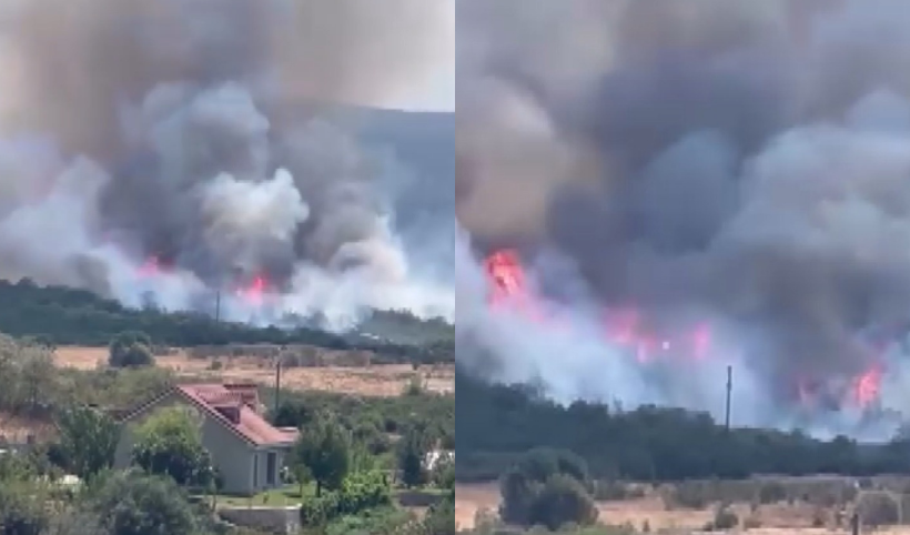 Bursa’da orman yangını