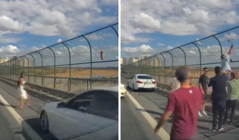 İstanbul'da korkunç kaza! Kediyi kurtarmaya çalışırken otomobil çarptı
