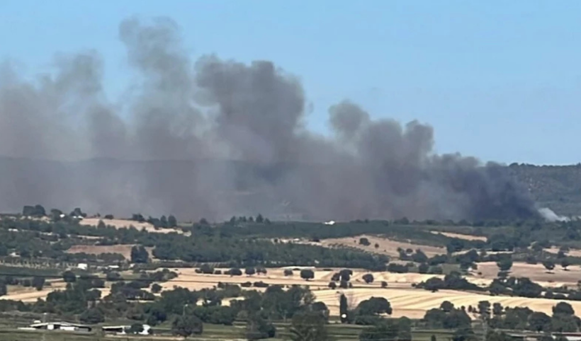 Çanakkale'de orman yangını!