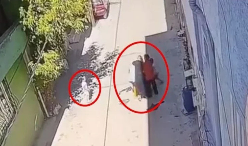 Kucağında çocuğu olan anneye tekme tokat dayak