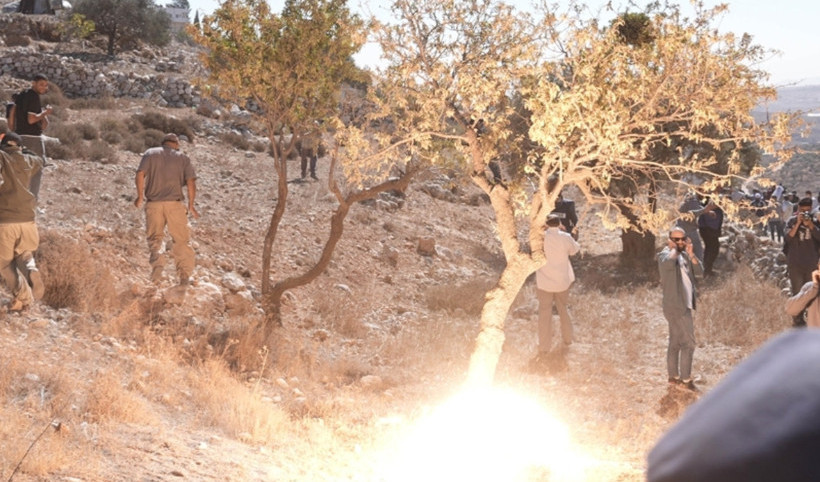 İsrail askerlerinden zeytin hasadına silahlı müdahale: Filistinli çiftçilere ateş açıldı