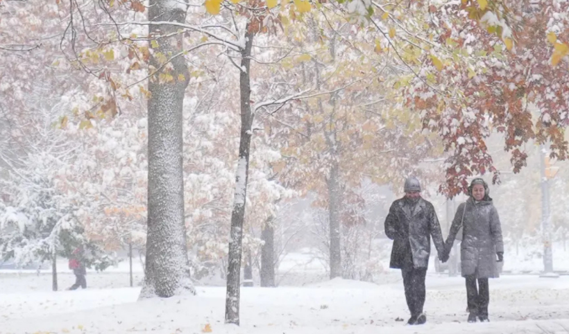 Meteoroloji'den üç il için sarı kodlu uyarı: Kar ve sağanak geliyor, sisli havaya dikkat!