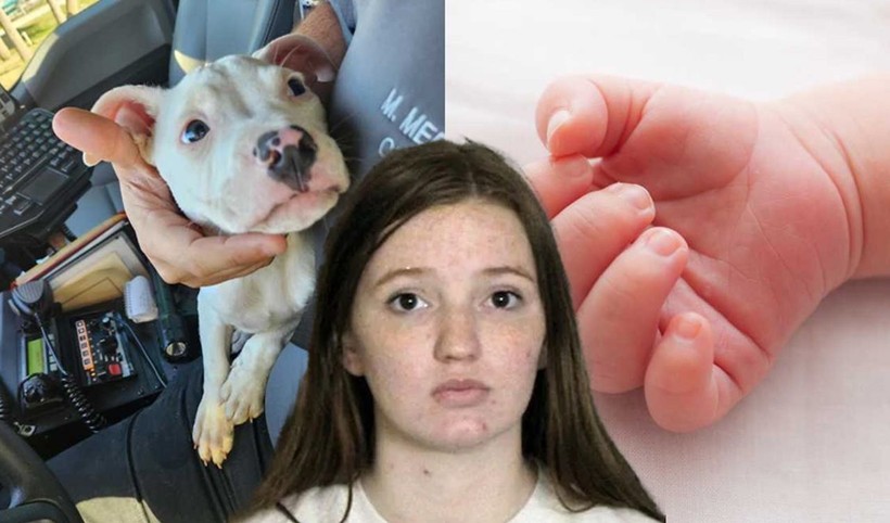 ABD'de tüyler ürperten olay! Genç anne 4 aylık bebeği ile pitbullu aynı odada bıraktı! Sesleri duyup odaya koştu! Sonrası korkunç... - Resim: 1
