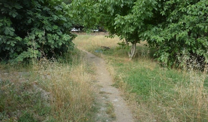 Ataşehir ve Bursa'da köpek vahşeti! - Resim: 6