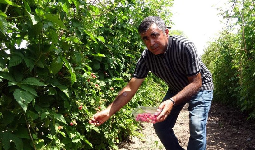 Kansere şekere deva! Hobi diye başladı, kilosunu 80 TL'den satıyor - Resim: 1