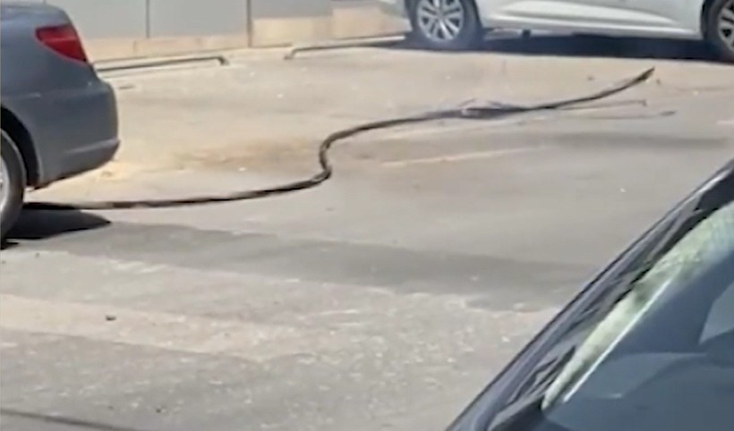 Ümraniye'de sıcaklar kabloları yaktı! İşte o görüntüler... - Resim: 3