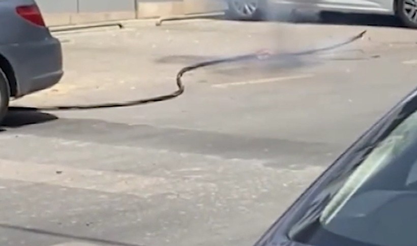 Ümraniye'de sıcaklar kabloları yaktı! İşte o görüntüler... - Resim: 7