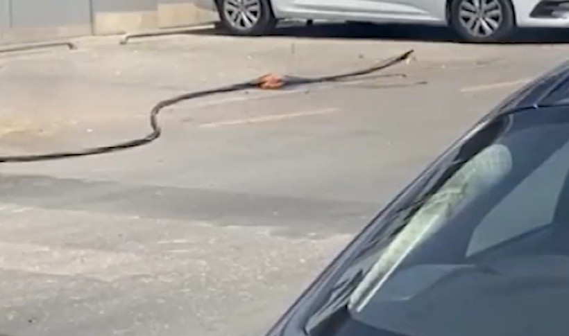 Ümraniye'de sıcaklar kabloları yaktı! İşte o görüntüler... - Resim: 2