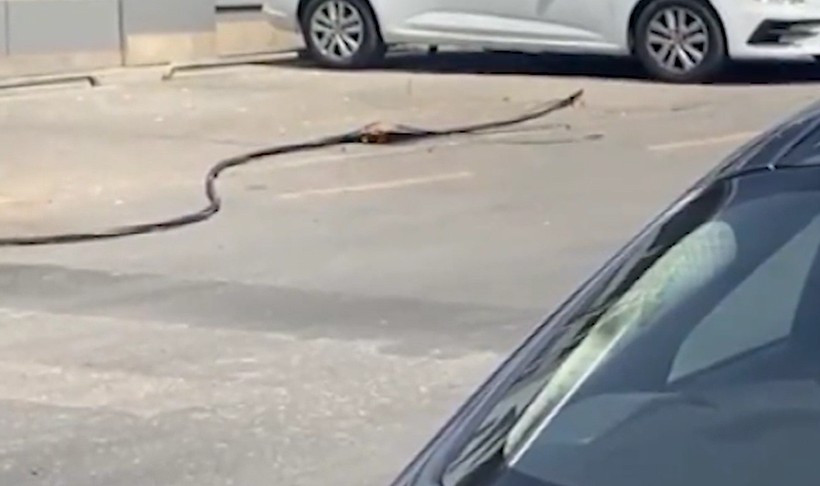 Ümraniye'de sıcaklar kabloları yaktı! İşte o görüntüler... - Resim: 8
