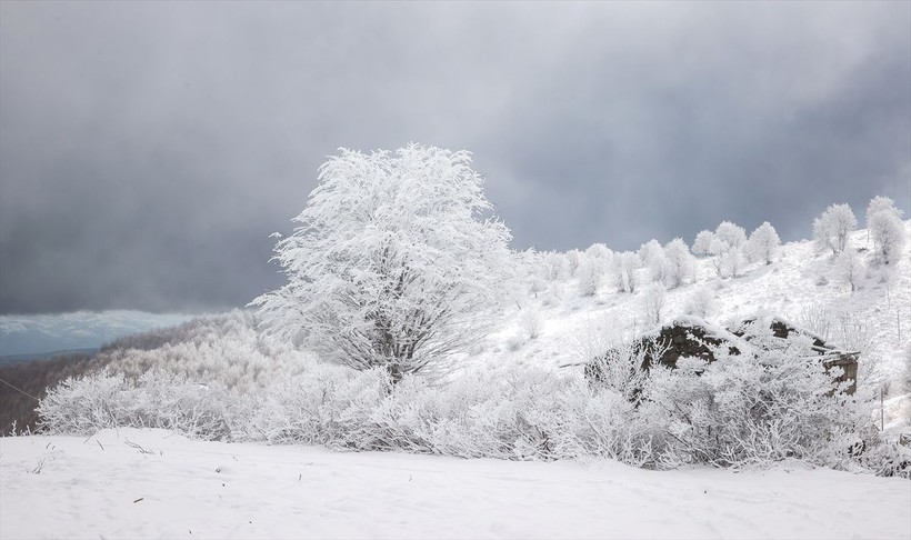 Sporseverlerin uğrak yeri! Kocadağ yaylası beyaza büründü ❄️🌨️☃️ Ortaya kartpostallık görüntüler çıktı - Resim: 28