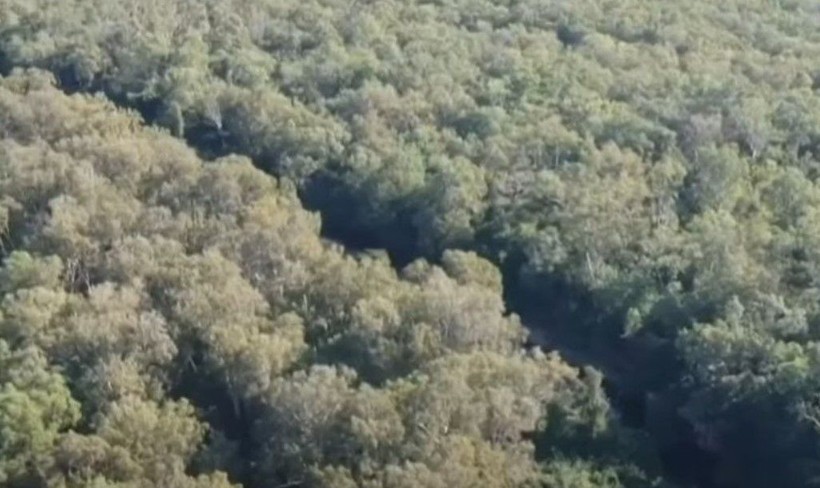 Timsah yaşlı balıkçıyı parçalayıp yuttu! Herkesin aradığı adam timsahın midesinden çıktı - Resim: 4