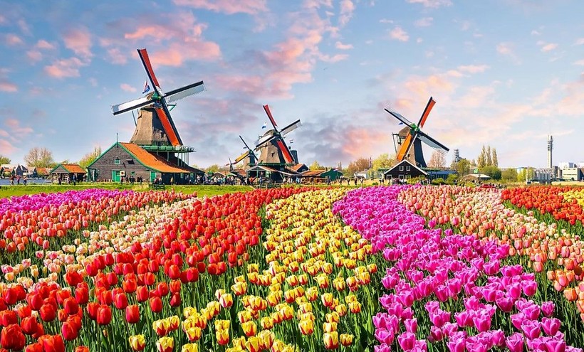 Hollanda'da inançsızların sayısı artıyor - Resim: 6