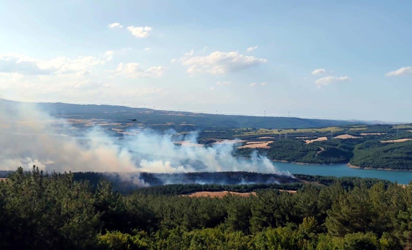 Tekirdağ Şarköy'de orman yangını - Resim : 2
