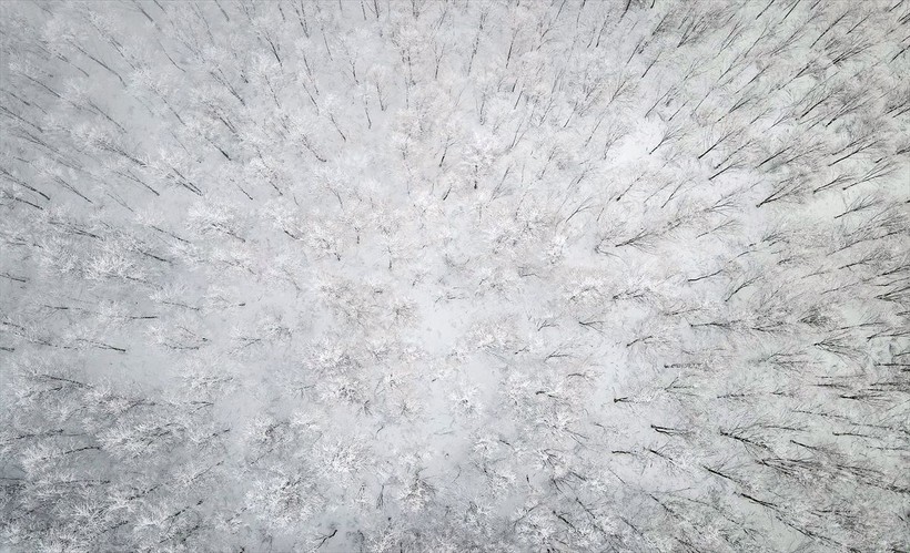 Sporseverlerin uğrak yeri! Kocadağ yaylası beyaza büründü ❄️🌨️☃️ Ortaya kartpostallık görüntüler çıktı - Resim: 19