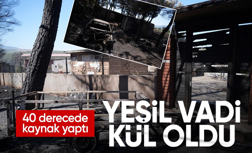 Bornova'da kıvılcım faciası: Yeşil vadi kül oldu