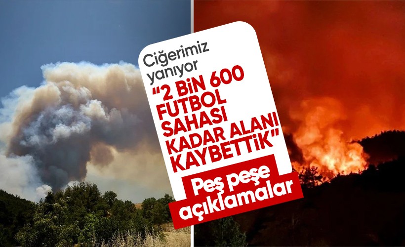 Orman yangınları ciğerimizi yakmaya devam ediyor: Bakan Yumaklı'dan kritik açıklamalar