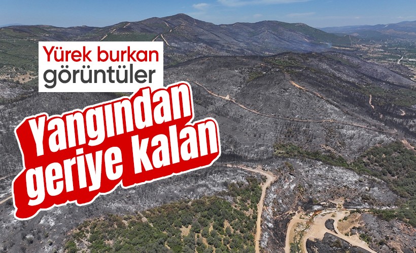 Yürek burkan görüntüler! İzmir'deki orman yangınından etkilenen bölgeler dronla görüntülendi