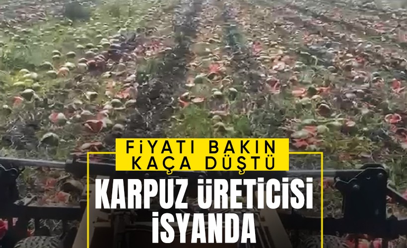 Adana'da karpuzun fiyatı 1 TL'ye kadar düştü! İsyan eden çiftçi ürünü yere atıp parçaladı