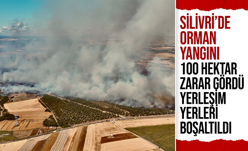 İstanbul Silivri'de orman yangını! 100 hektar zarar gördü
