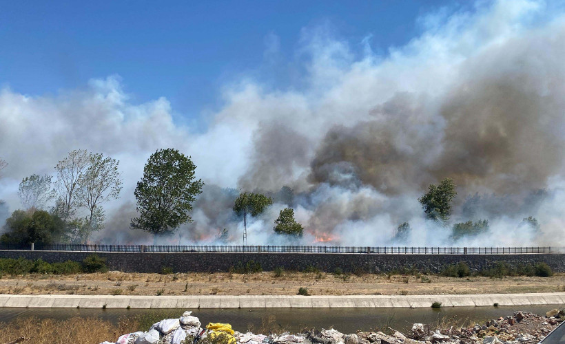 Çanakkale'de orman yangını
