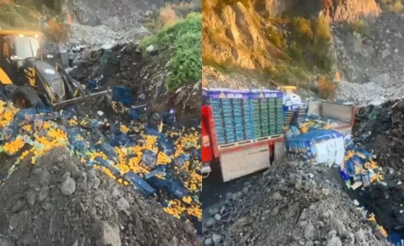 Sarp Sınır Kapısı’nda 6 ton mandalina imha edildi: Zirai ilaç kalıntısı tespit edildi