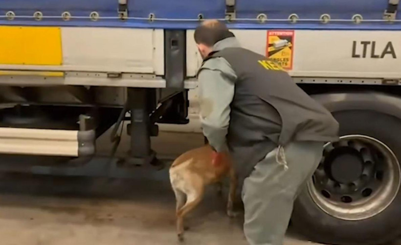 Kapıkule’de dev darbe: Uluslararası uyuşturucu hattı çökertildi