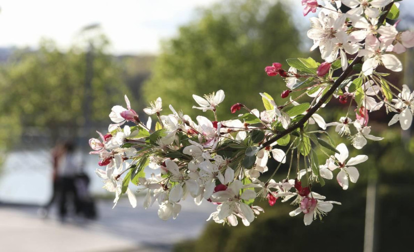 Meteoroloji açıkladı: Sıcaklıklar yurdun büyük bölümünde mevsim normallerinin üstünde