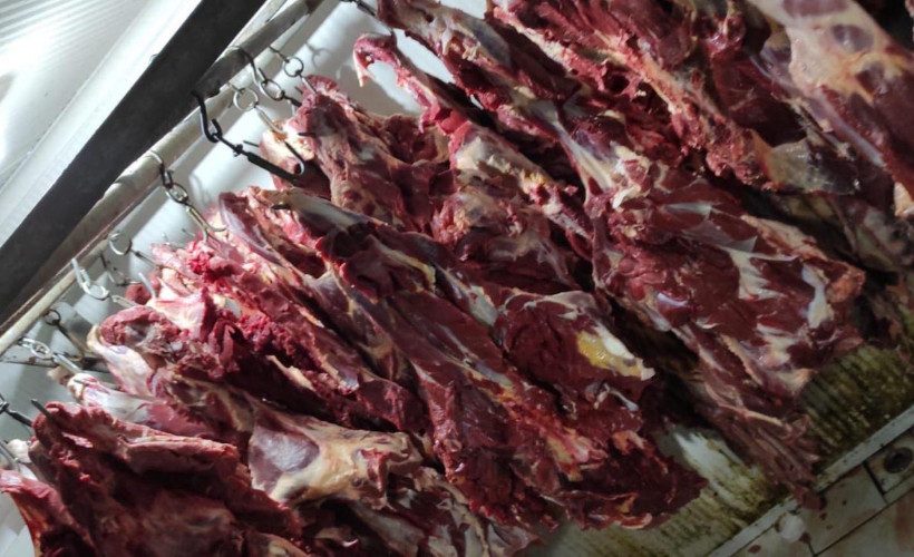 Aynı şehir, aynı skandal: Bakanlık Listesinde at ve eşek eti şoku