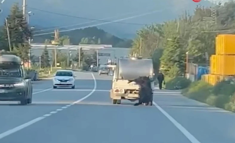 Bolu’da vicdansızlık kamerada! Canlı hayvanı kilometrelerce sürüklediler